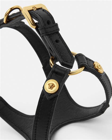 Versace Leather Harness Mid